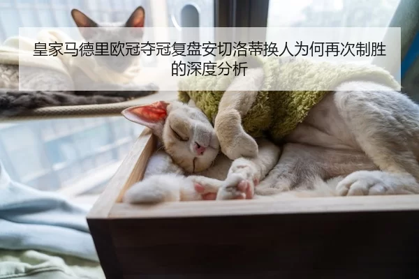 皇家马德里欧冠夺冠复盘安切洛蒂换人为何再次制胜的深度分析