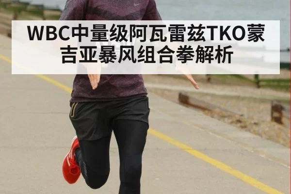 WBC中量级阿瓦雷兹TKO蒙吉亚暴风组合拳解析