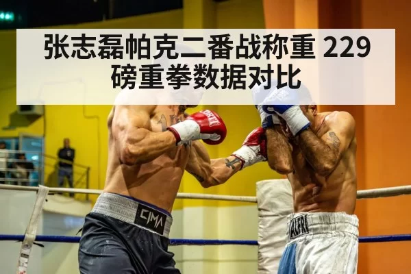 heavyweight boxing punch